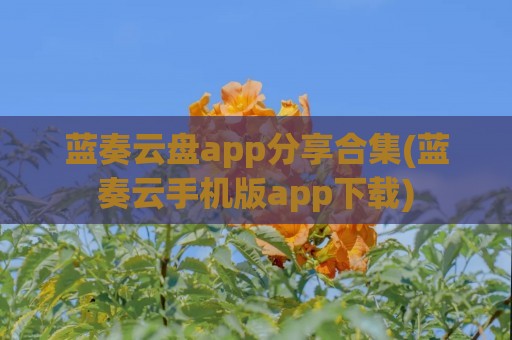 蓝奏云盘app分享合集(蓝奏云手机版app下载)