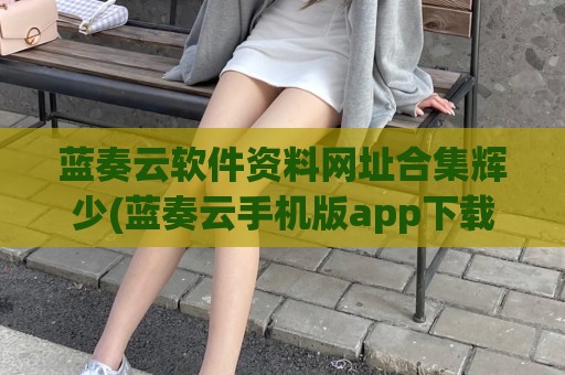 蓝奏云软件资料网址合集辉少(蓝奏云手机版app下载)