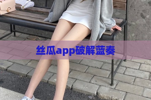 丝瓜app破解蓝奏