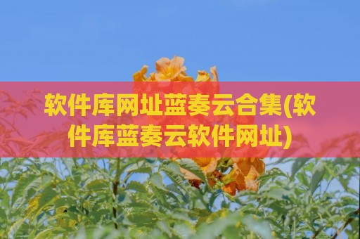 软件库网址蓝奏云合集(软件库蓝奏云软件网址)