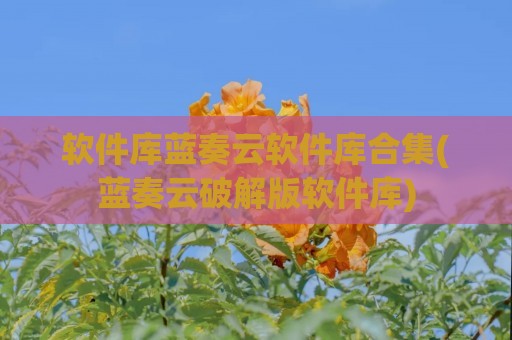 软件库蓝奏云软件库合集(蓝奏云破解版软件库)