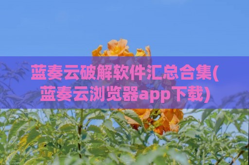 蓝奏云破解软件汇总合集(蓝奏云浏览器app下载)