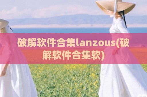 破解软件合集lanzous(破解软件合集软)