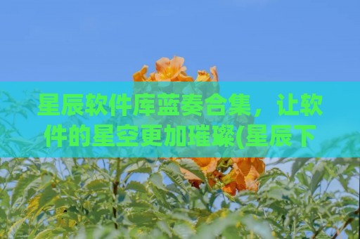 星辰软件库蓝奏合集，让软件的星空更加璀璨(星辰下载站)