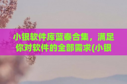 小银软件库蓝奏合集，满足你对软件的全部需求(小银软件基地怎么了)