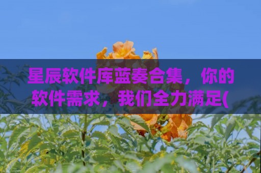 星辰软件库蓝奏合集，你的软件需求，我们全力满足(星辰软件下载)