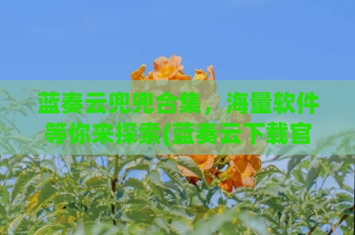 蓝奏云兜兜合集，海量软件等你来探索(蓝奏云下载官方)