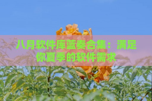 八月软件库蓝奏合集：满足你夏季的软件需求