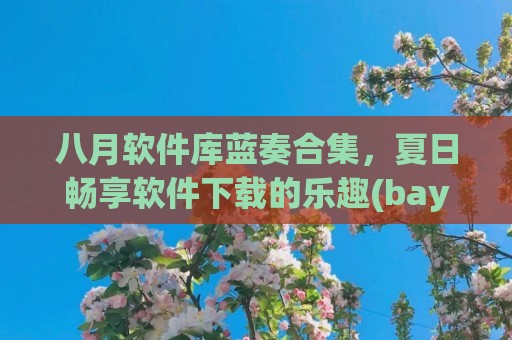 八月软件库蓝奏合集，夏日畅享软件下载的乐趣(bay蓝奏云)