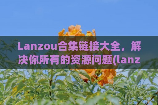 Lanzou合集链接大全，解决你所有的资源问题(lanzout)