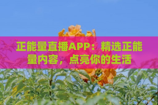 正能量直播APP：精选正能量内容，点亮你的生活